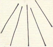 stazion.jpg
