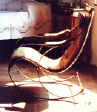 sedia.JPG (50320 byte)